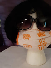 Load image into Gallery viewer, Face Masks - Sports Teams -2 Layers Plus Filter