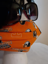 Load image into Gallery viewer, Face Masks - Sports Teams -2 Layers Plus Filter