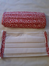 Load image into Gallery viewer, Face Masks - 2 Layers Plus Filter - Pleated Front